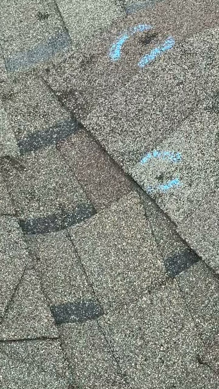 Close-up of asphalt shingles with hail hits circled in blue chalk